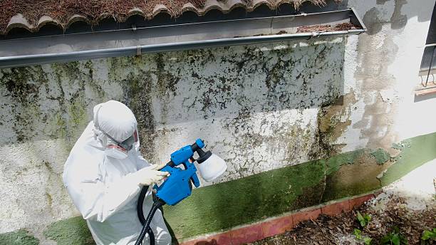 Top rated local Crawl Space Mold Removal specialists in Enola, PA